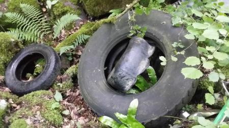 Sanacija črnega odlagališča – Banova jama 114